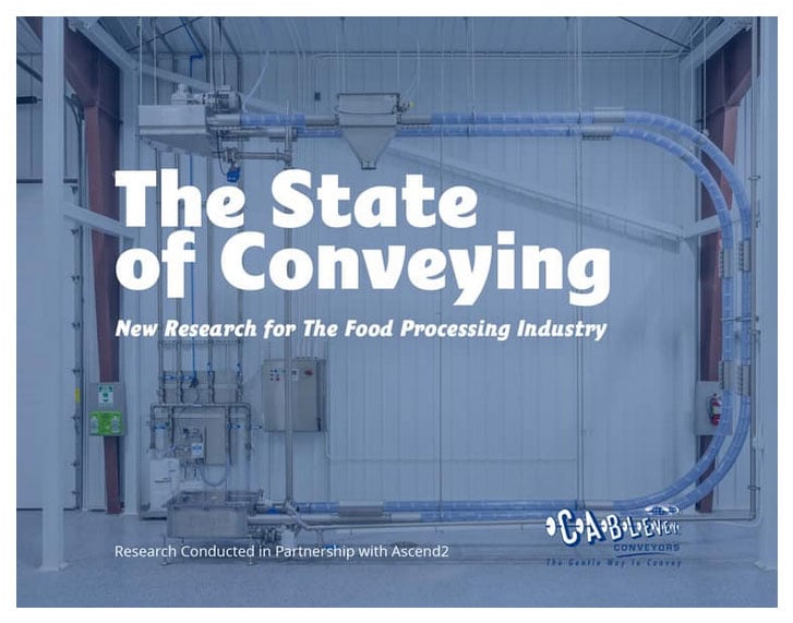 State-of-Conveying2