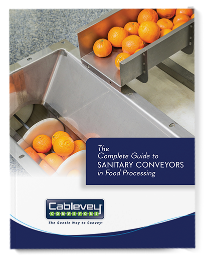 the-complete-guide-to-sanitary-conveyors-in-food-processing-cover